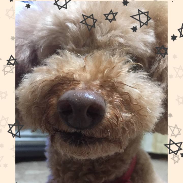 52d4c338 d979 48e1 be15 b5e09d583791 1523448789790