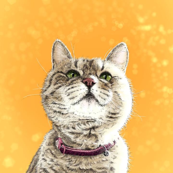 52d52fca 7669 4735 91da 53341a775a0a 1652883086031