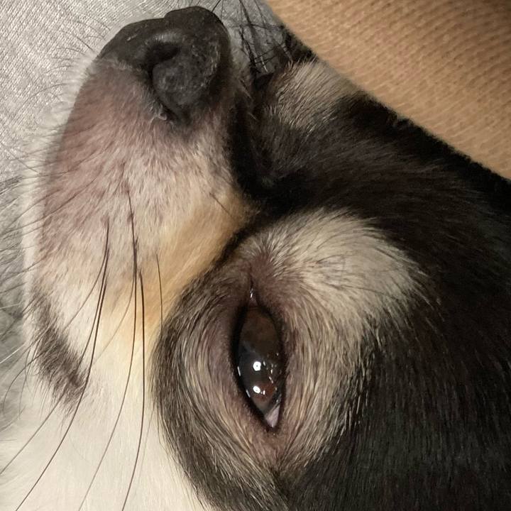 52d57c05 d367 4d0c a971 8d20faaa95dc 1667138951037