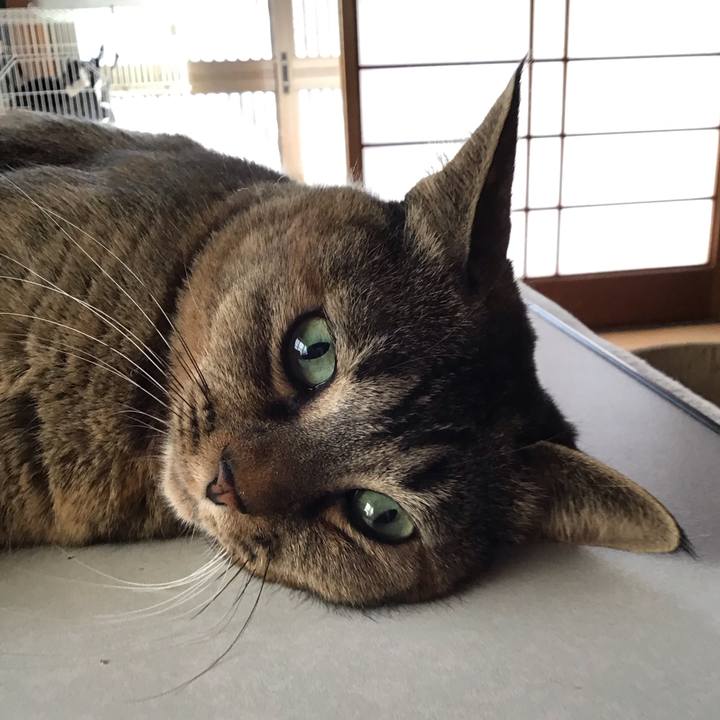 52d5a0df bdea 4c83 81f3 3aff46532e07 1736384638164