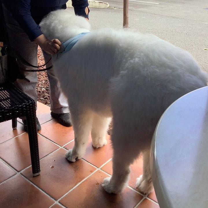 52d5b229 9e8e 4bd5 988e 67c121ae5d72 1716987602924