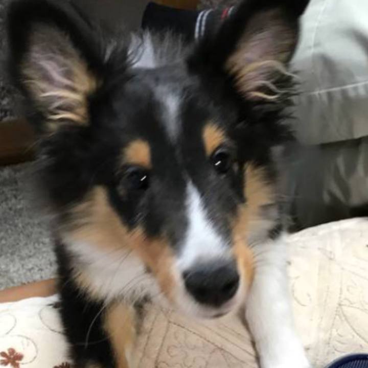 52d5e2ea 4cdb 426a 917c c8b5ba82e103 1524001241769