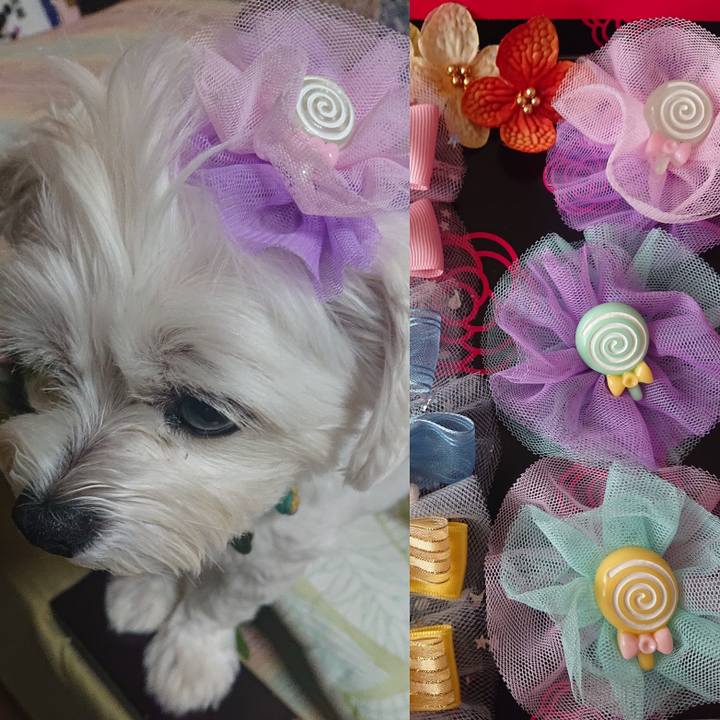 52d5eb53 2ff7 4a75 97a4 abaa04837aa7 1598591058563