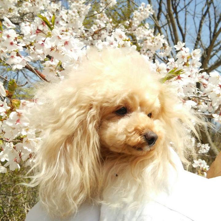 52d5ecb1 7bf1 4a22 ba63 e122112c7ec1 1556546077471