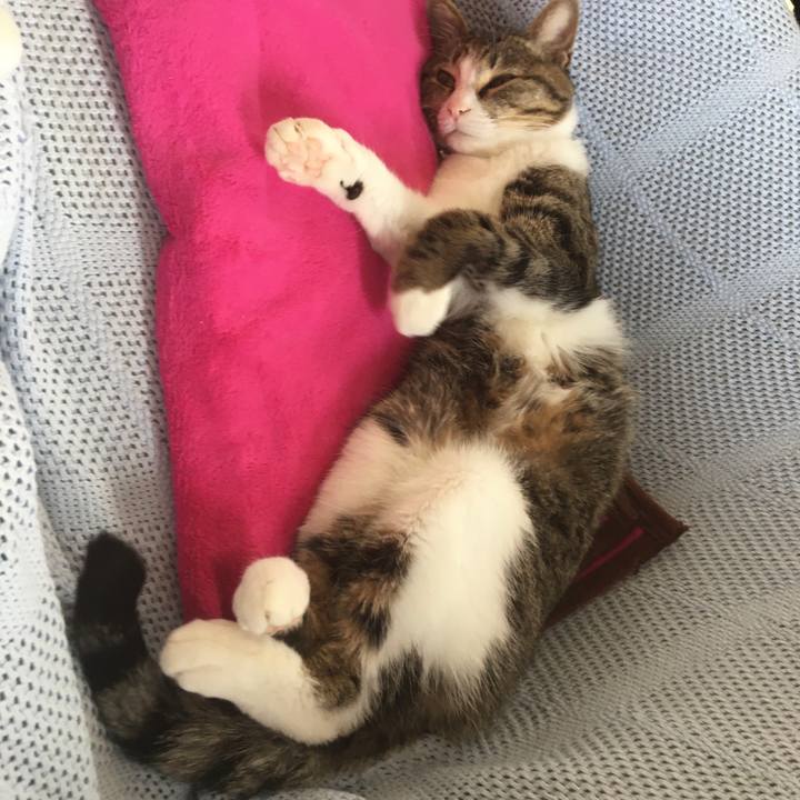 52d60b78 2fcd 4f7e ae39 e36b272b03c5 1673923361614