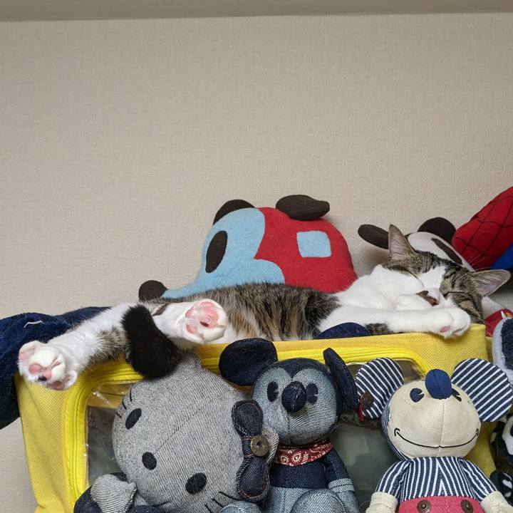 52d61bce 8d2e 4478 9267 36457bb72f2b 1698298454380