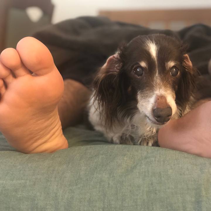 52d66473 8289 4475 aba4 e8758e888274 1585523758986