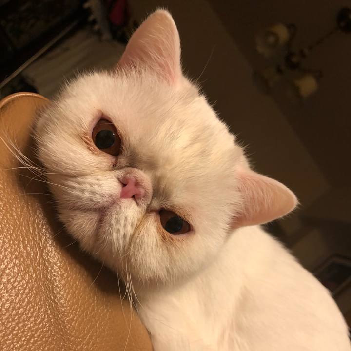 52d68141 5797 4217 bd35 f886149c3680 1613025040423