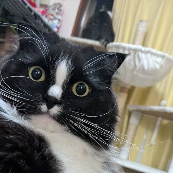 52d68d6f cc87 4176 a6e0 bb9011643520 1745927608004