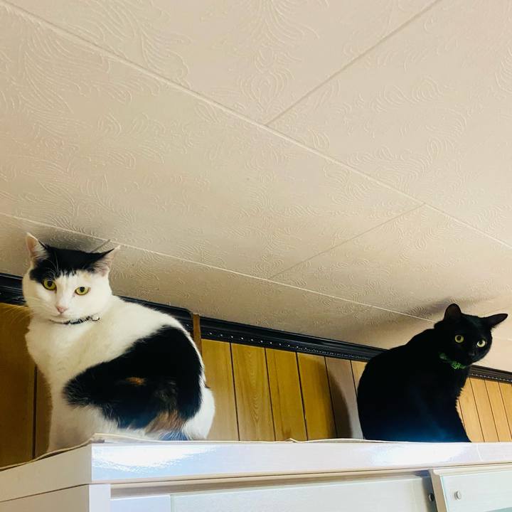 52d69262 7e46 449b b6ac 9c7205929148 1664401775664