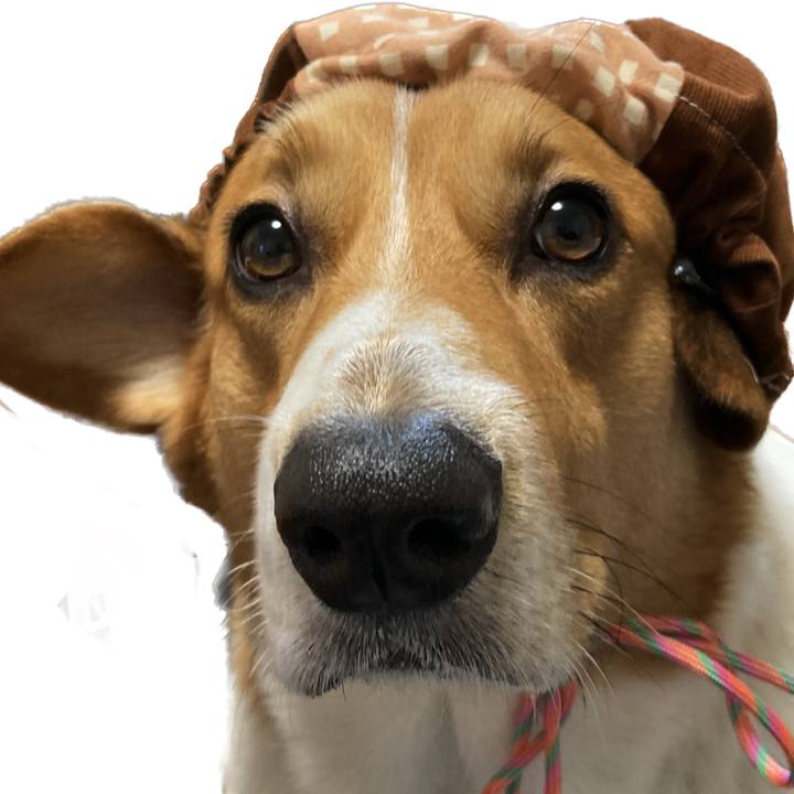 52d6e9b6 4fb8 458b 8702 ef939e739662 1698191926261