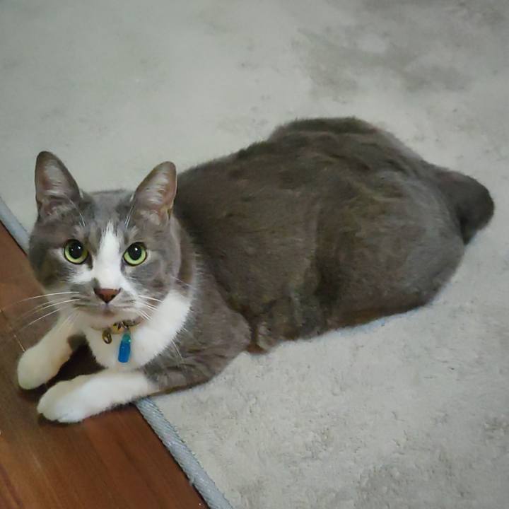 52d6eb1b f9a7 40e7 b777 e80ecb6befaa 1708466715241