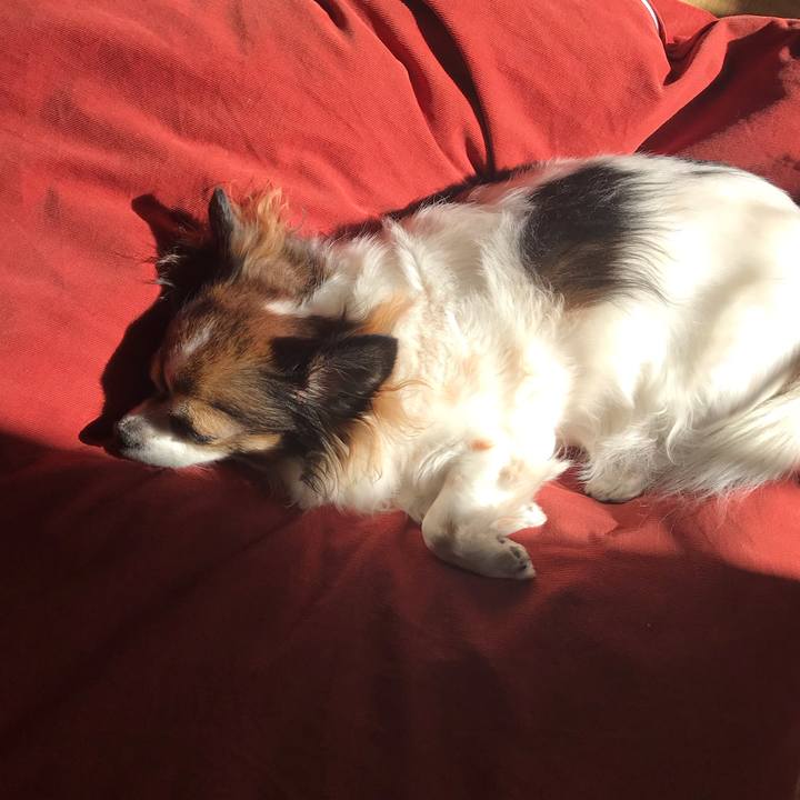 52d71dad d283 4cb4 866d a81668a0a162 1641698300446