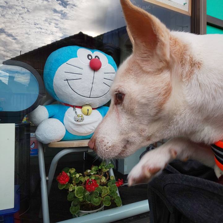 52d78062 8542 4a5b a22d e6b91d338f2a 1569111550644