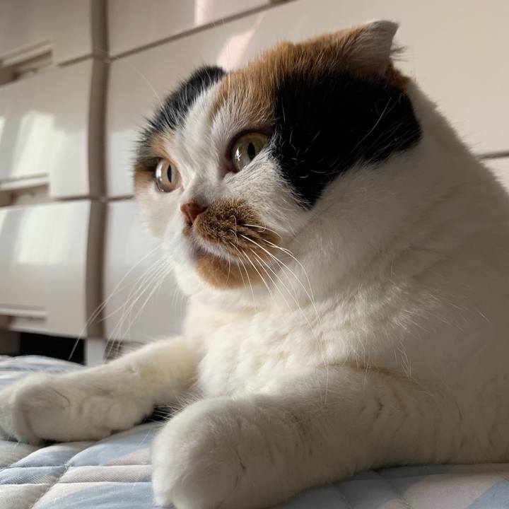 52d79859 3b92 412c 921e 5ac78f695e2a 1565770927313