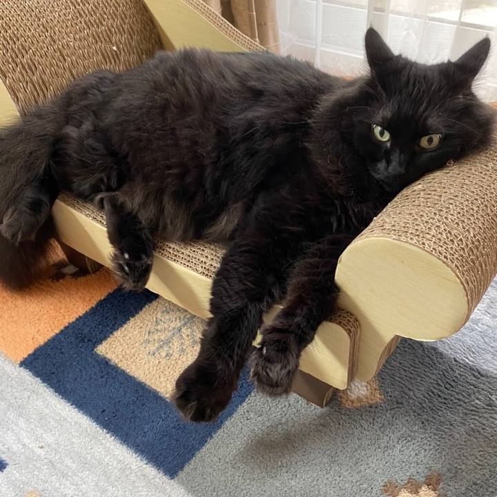 52d7bd4d e881 4c08 8b84 e61a6cdb5776 1597546326391