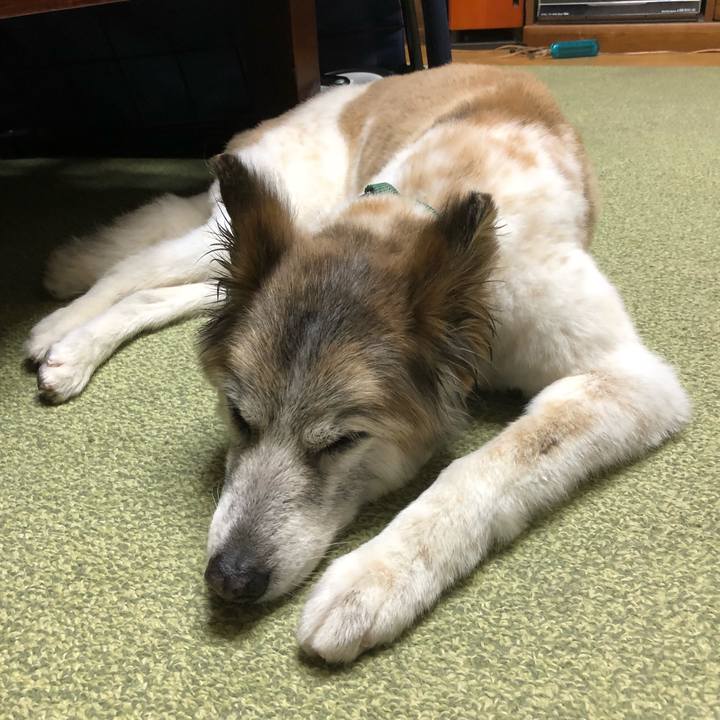 52d7d9b1 0527 4dc4 88de 12244623f82d 1532944740169