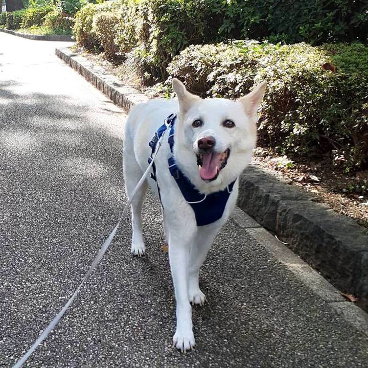 52d7f531 436c 43af 9099 03254b3cb3ee 1760871862208