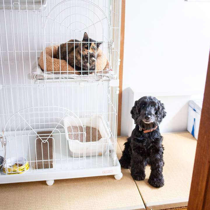 52d80ce1 00e2 4c87 8916 e53c553ba742 1573348411290