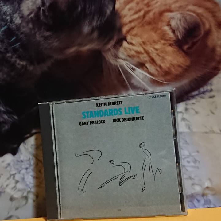 52d82ebd 5aa4 4544 ab69 e416e2f8da67 1621076388863