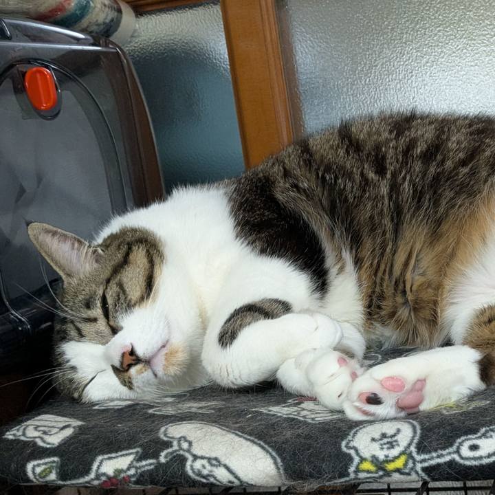 52d834bd 4110 4c9e a61c 59b46cfe8764 1740315113831