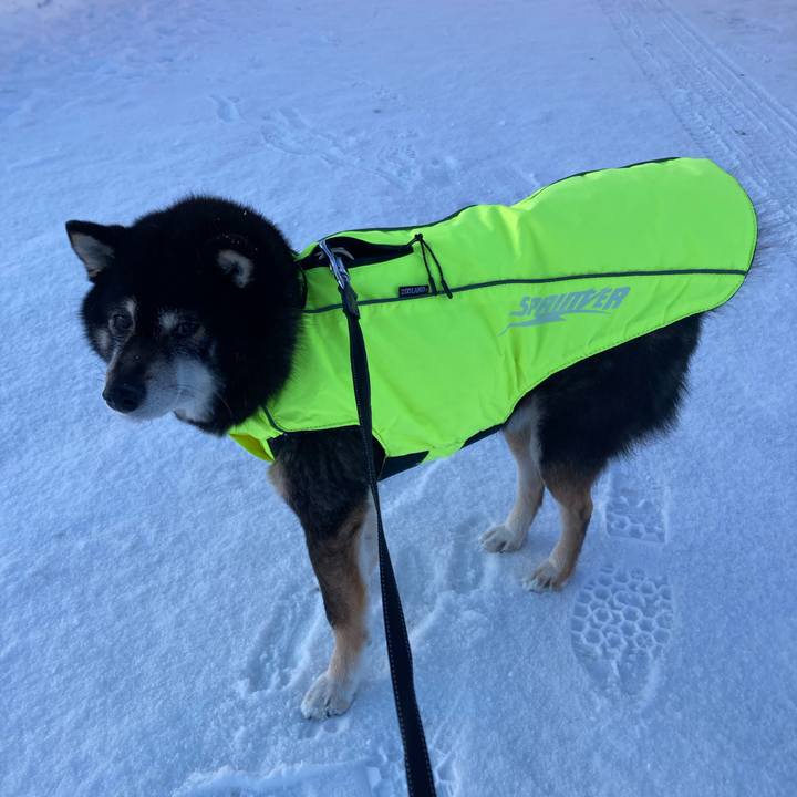 52d842f7 7e42 43fd 9b57 48412b0bf40c 1674865192877