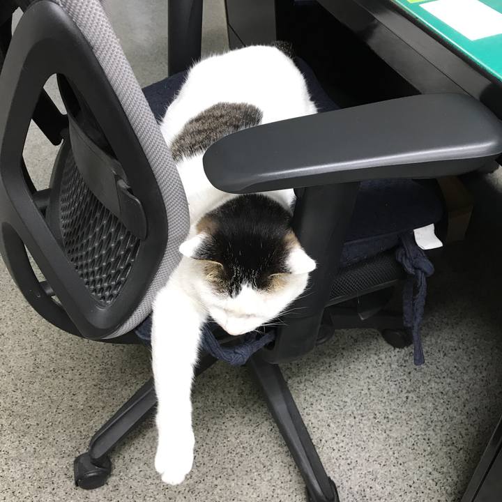 52d84460 1136 43ac b825 3e0807f561ca 1521706075832