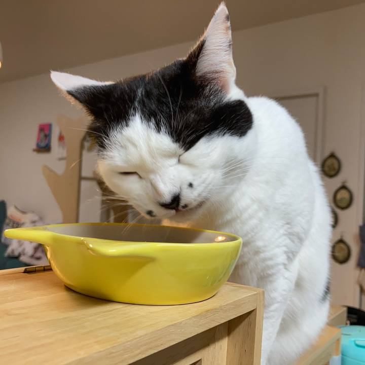 52d84604 414c 46e9 9eb4 c6475898a592 1766523546555