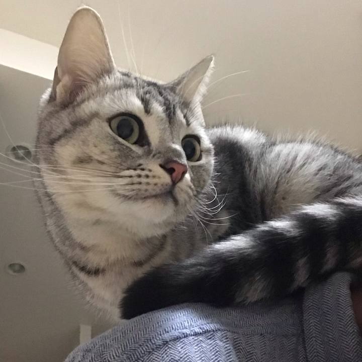 52d88460 3a24 4e2a 9ada 555bec20650e 1548060374795