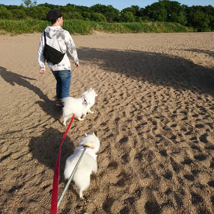 52d88c1b 03d6 442c 9bff caf4e5590423 1590312699345