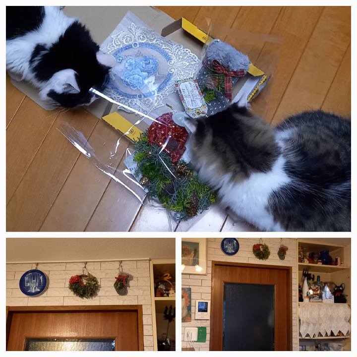 52d88f83 352f 4c20 b6a7 61c1b84d9c49 1670711139964