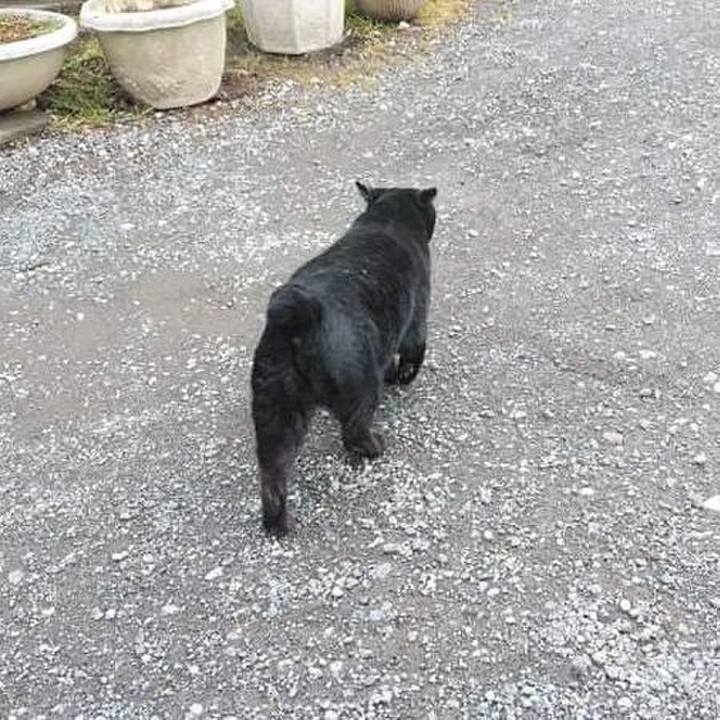 52d89376 f162 4cfc 8bbc 84b6ff0e5266 1644903709577