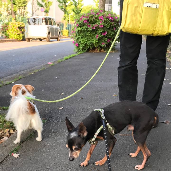 52d8bd2a 7662 4371 87a5 605e0d71f80b 1525613831470