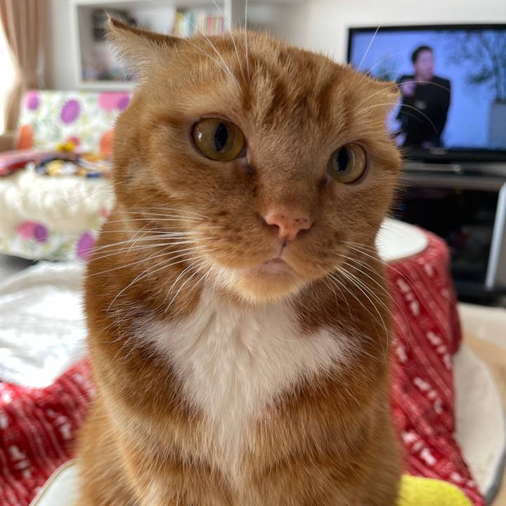 52d8bd38 0039 42fd b190 571928280d6c 1640784250566