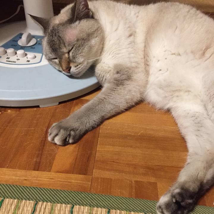 52d8d79e dd93 49e2 a264 274b6b78c73c 1565091382705