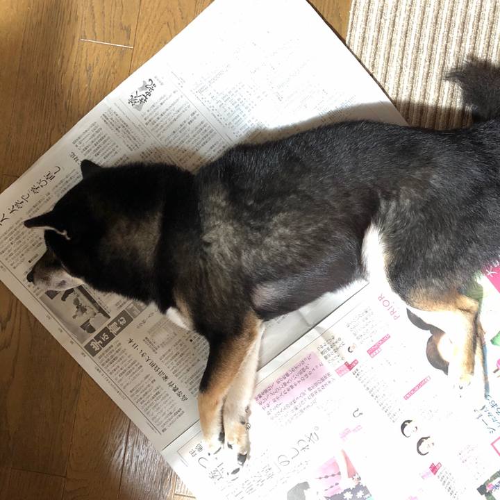 52d8e0fa 7448 4c88 9503 4670cd49448d 1544527709767