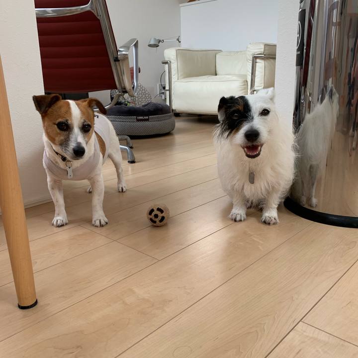 52d8eeb7 5bde 475d a6a2 0df052cfa495 1592179731164