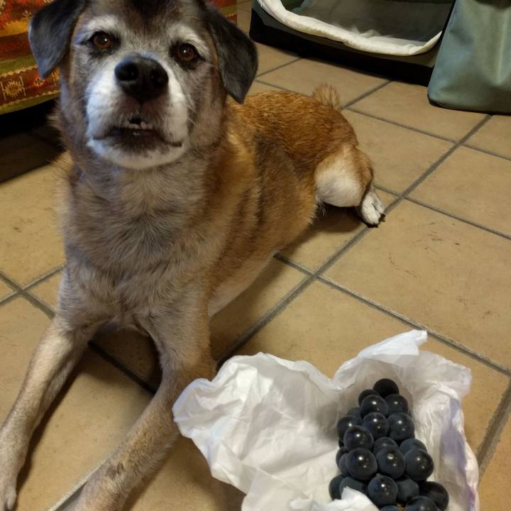 52d906ea d982 428a 9b56 c9c289561bed 1538382121467