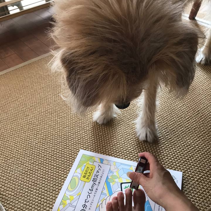 52d90f60 6379 4615 805f 617c9884f9e3 1569554076528