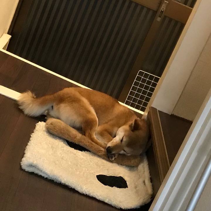 52d9158d e94e 42f3 8fc8 0f537f8303c7 1522425456816