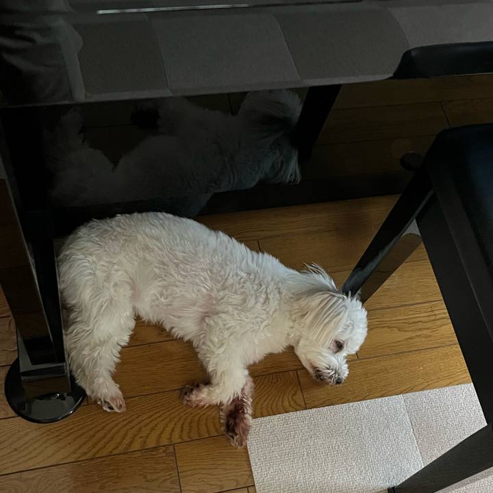 52d917be 0455 4ea8 a675 38068d66e081 1721701931138