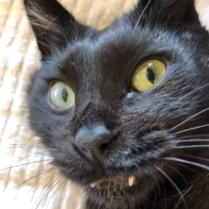 52d92afe 08d6 49a1 b617 6d96c3844193 1624667216496