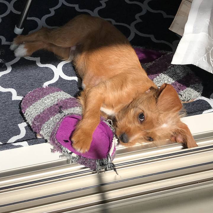 52d96c34 b863 4e3e 9173 2e4622ca9945 1521426742945