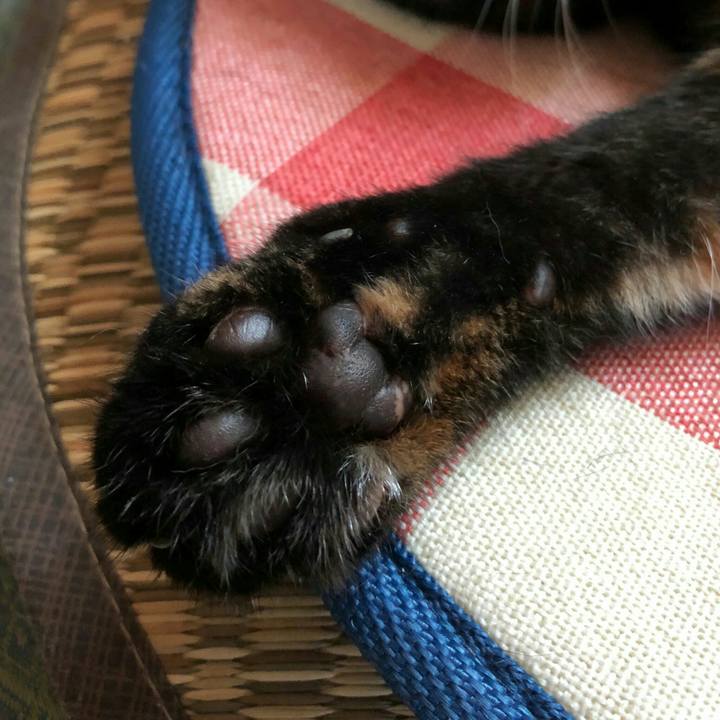 52d97f34 3c95 4bee b3d0 c2c68ef03c2c 1598773127554