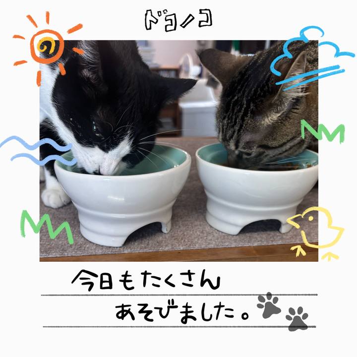 52d9fbab 7566 4140 964b a73ec0ce9936 1755566993129