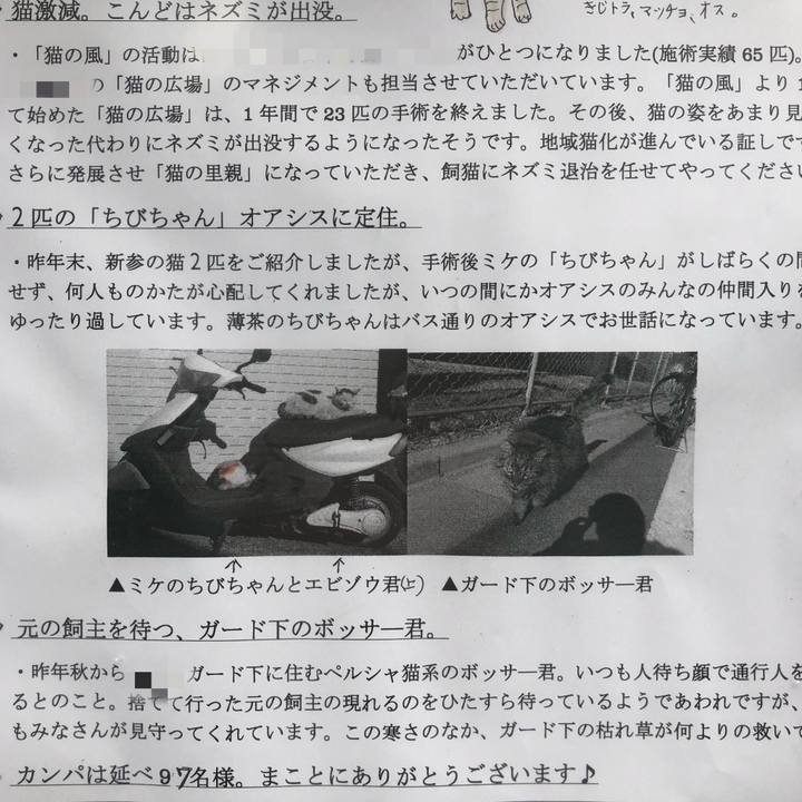 52da30a1 96b5 49e5 babf 7f0315aaf3d7 1551461062066