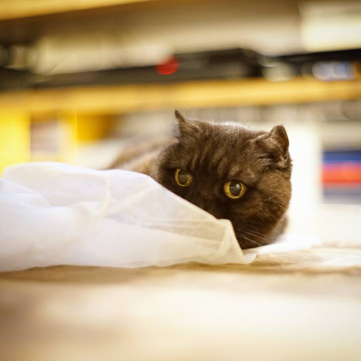 52da4927 d3f6 45bd 8a84 42cc6c7a1c59 1620568738432