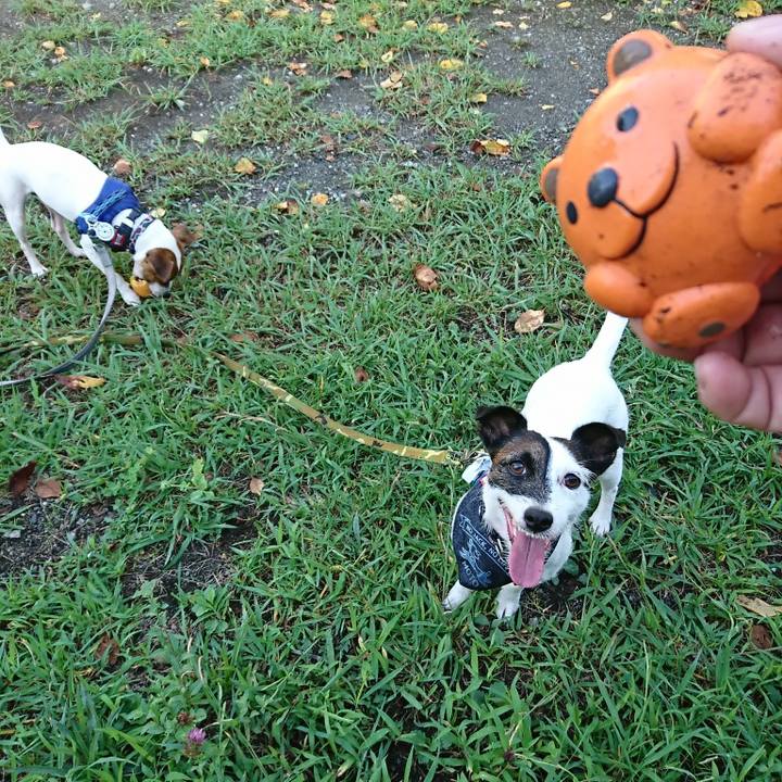 52da8c0a 1ab7 4304 829b b3f0f0566b06 1533854431035