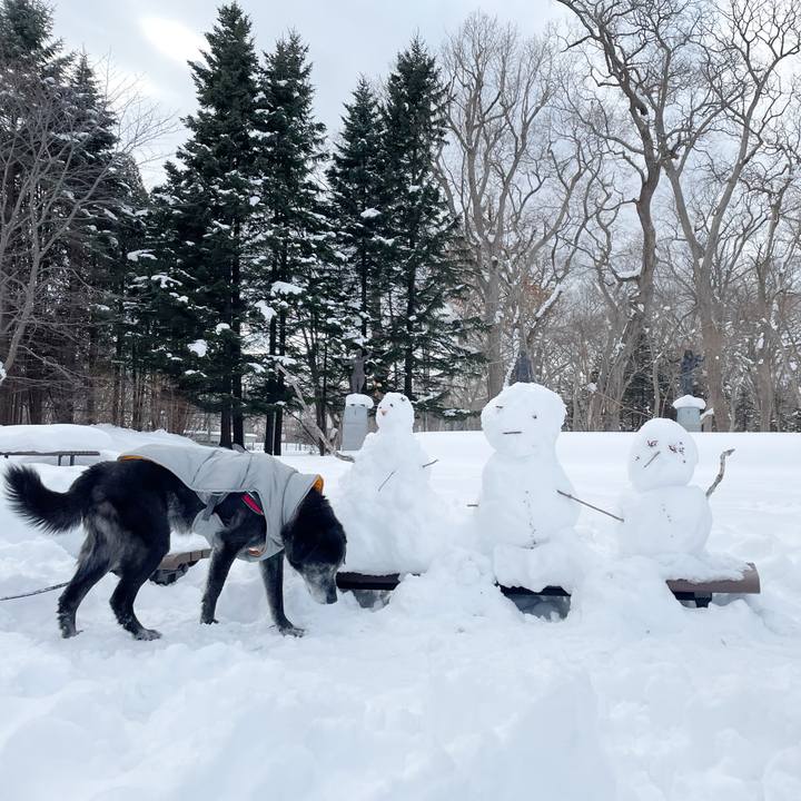 52daa2fa 2a4d 44fb b7ba 2c556598a2fd 1770103083300