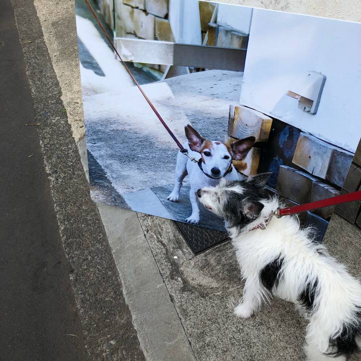 52dac673 8ecd 443a 87cb 8b19804d9187 1524398603706